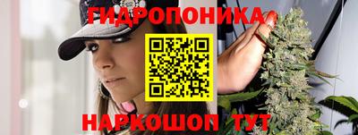 каннабис Камышлов